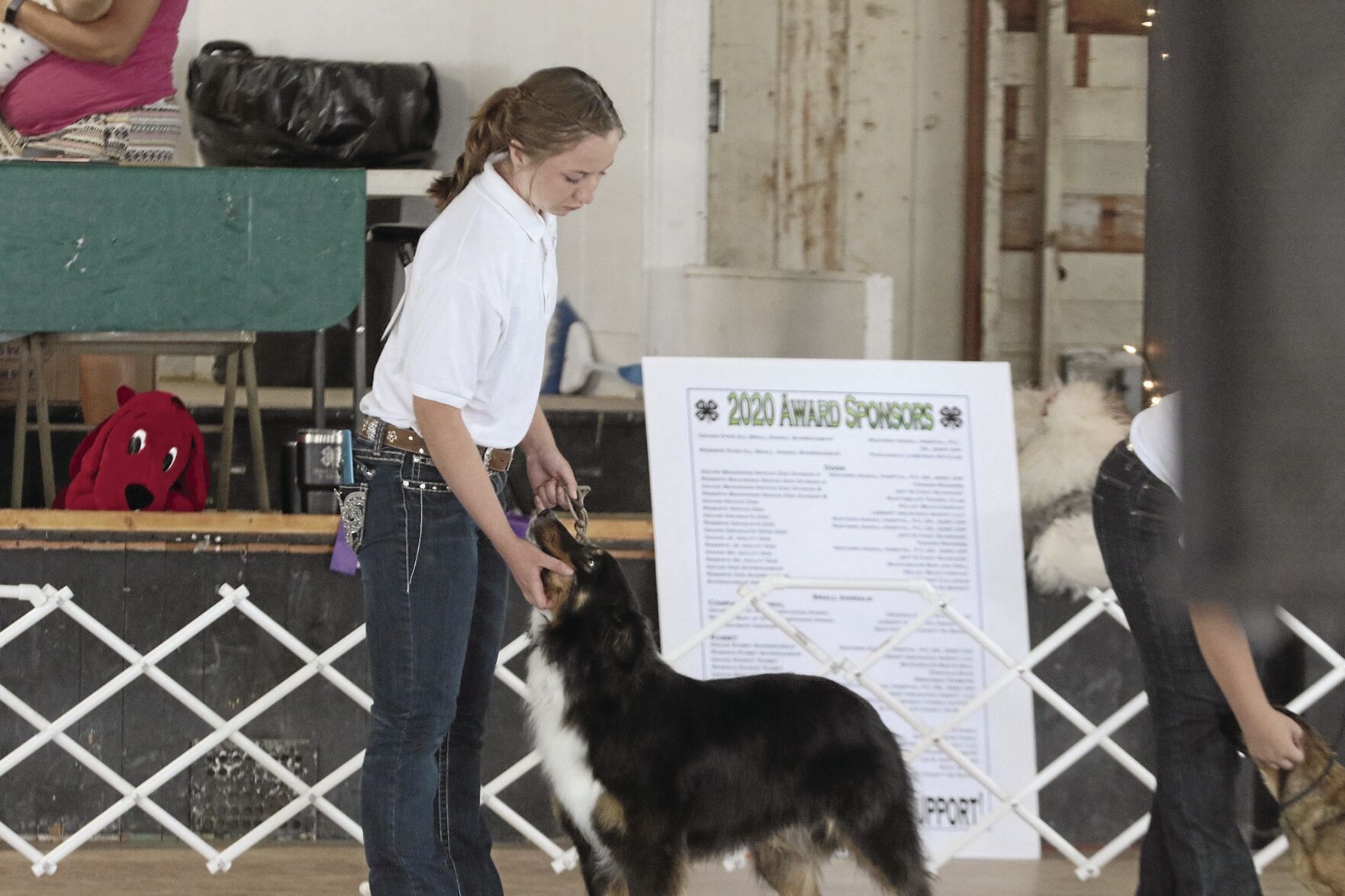 PHOTOS: Scotts Bluff County Fair Dog Show 2020